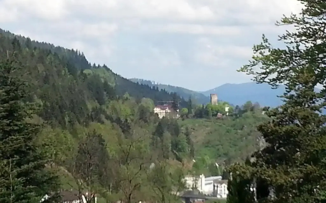 Pension Schwarzwaldblick