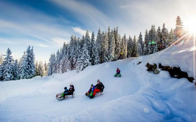 Lovely Apartment on a Farm in Radstadt