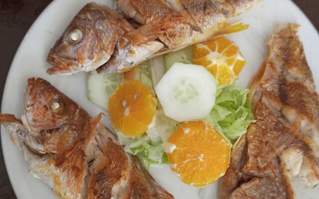 Posada campestre los cipreses