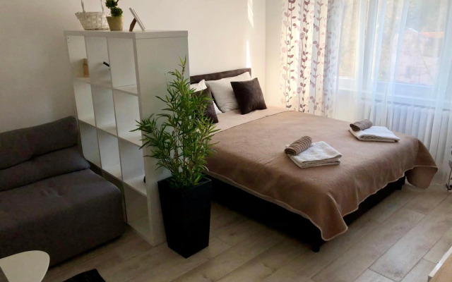 Modern Studio (Institut Majka i Dete)