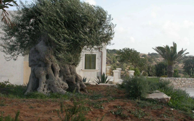 Relais Parco Cavalonga