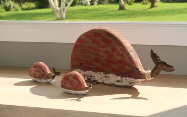 House Léchappé Fouesnant