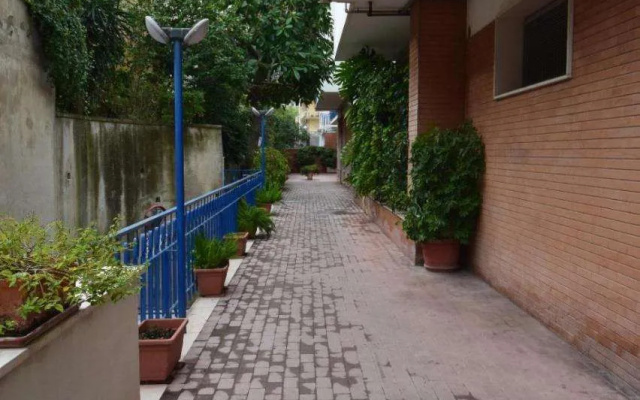Sun Terrace