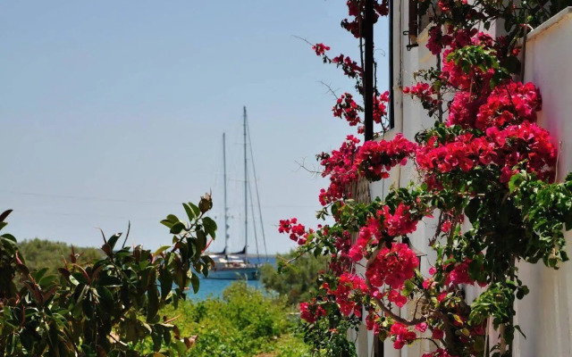 Michalis Apartments near the beaches with sea view