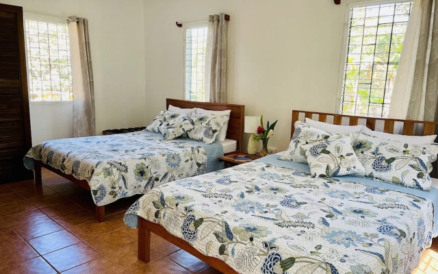Mariposa Jungle Lodge