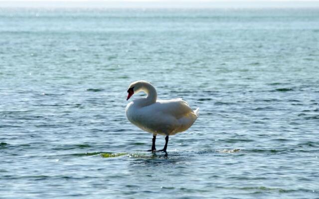 Mare Balticum