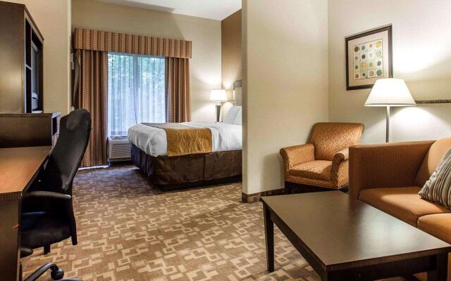 Comfort Suites At Kennesaw State University