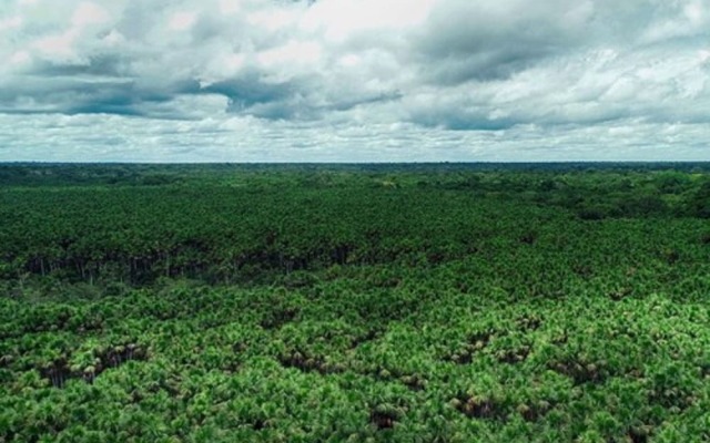 EcoAmazonia Lodge