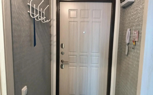 Apartment on Alexander Pushkin Street 1