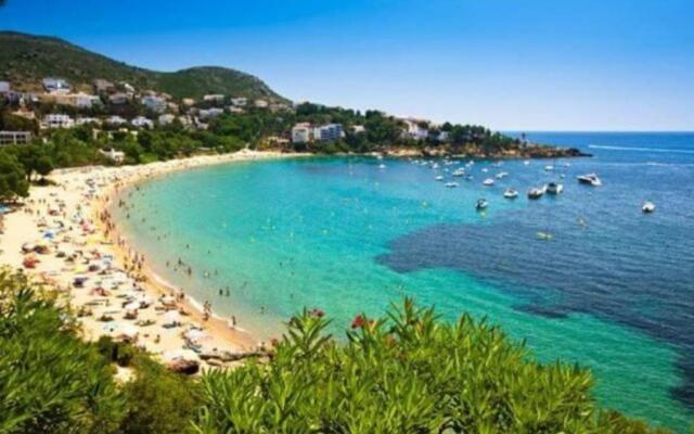 Delfin 9 J Canyelles Roses - Barneda Premium