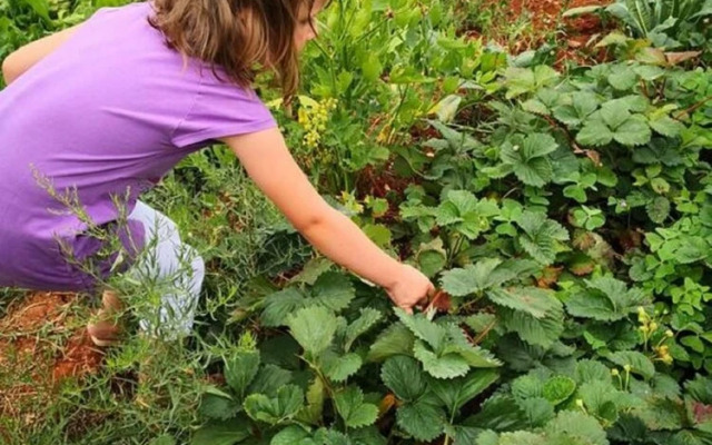 Barbara - Perfect Holiday - H