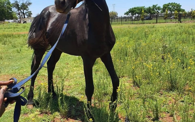 WCCC Convention Centre