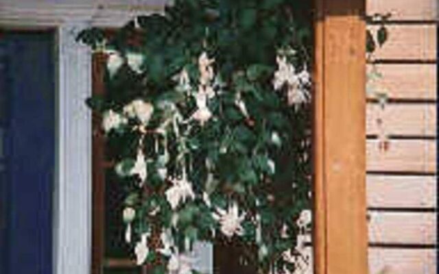 Chesapeake Inn of Lenox