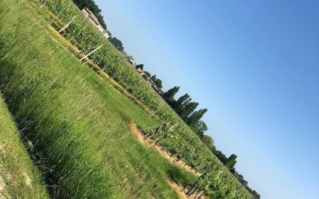 L'arbre Rouge
