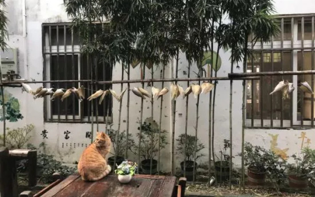 Gujingfang homestay in Shanghai