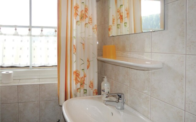 Amazing Apartment in Flachau With 2 Bedrooms and Wifi