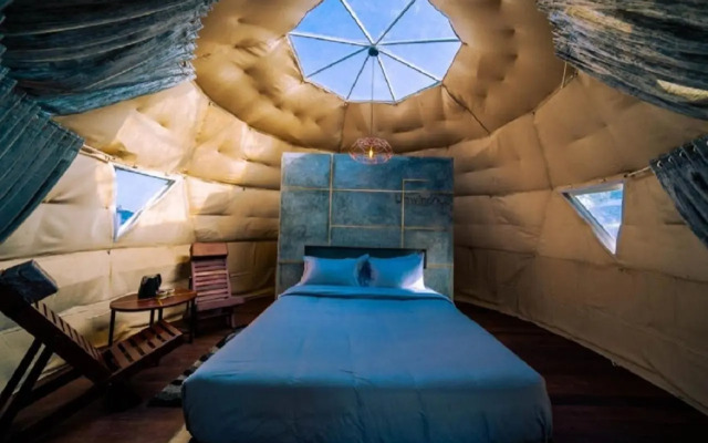 Purple Orchid By Xacro Xperiences