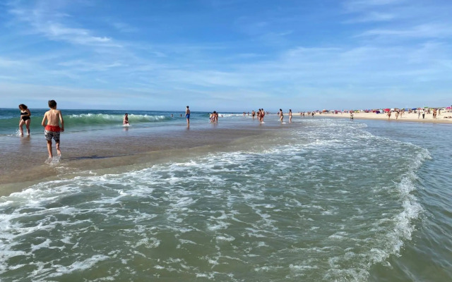 Apart. Dunas da Torreira