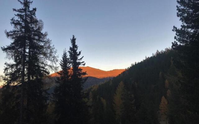 Bärenhütte