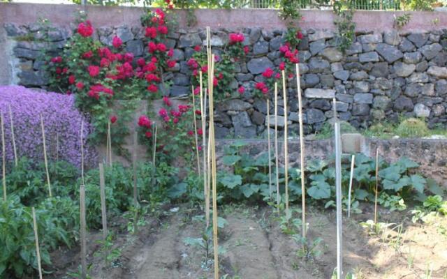 Giardino In Cittá