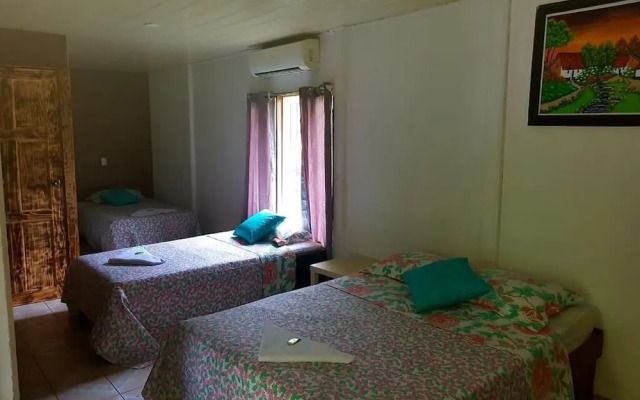 Hotel Maguey - фото 3