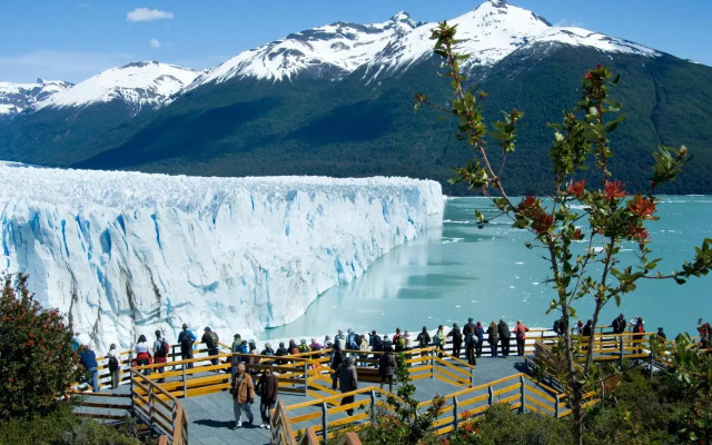 Sent Calafate