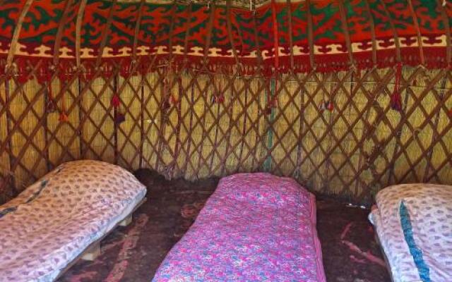 Turkestan Yurt Camp