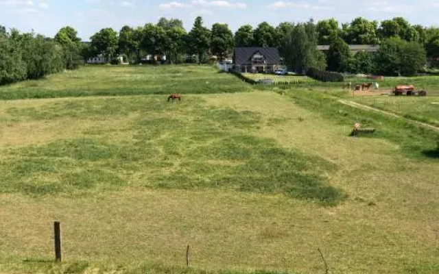Moderne Wohnung im Grünen