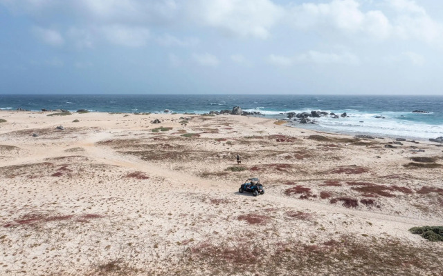 Marriott's Aruba Ocean Club