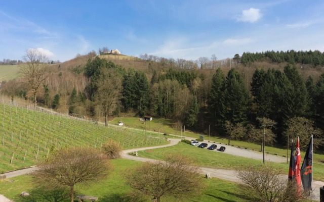 Wein Lodge Durbach - Schlossblick
