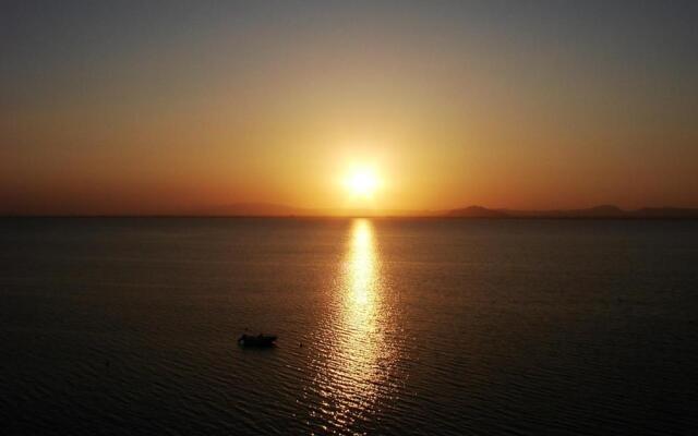 Apartamentos Dominique