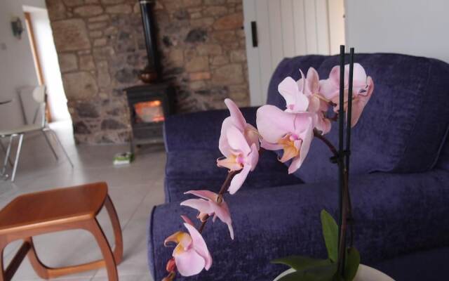 Cockle Kitty Cottage