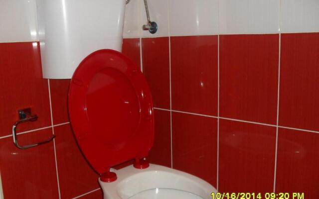 Apartment Batricevic