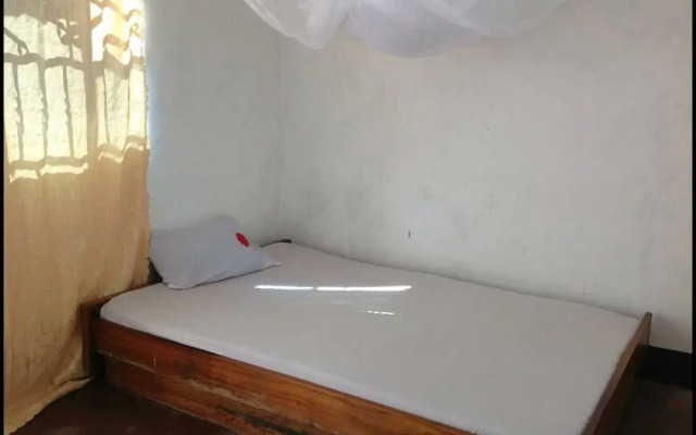 The Maasai Homestay & Safaris