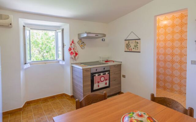House Erika Ripatransone