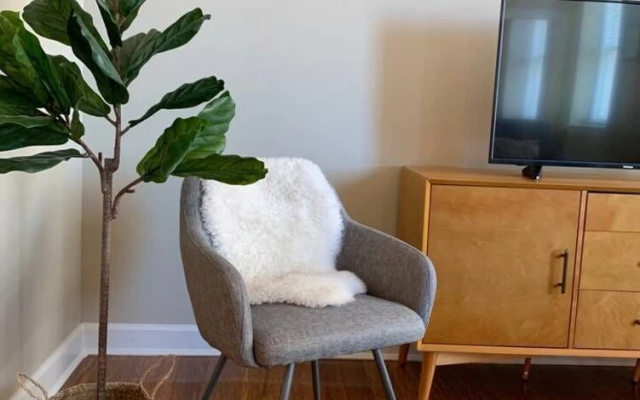 Visit Memphis From A Spacious 1-Bedroom Loft!