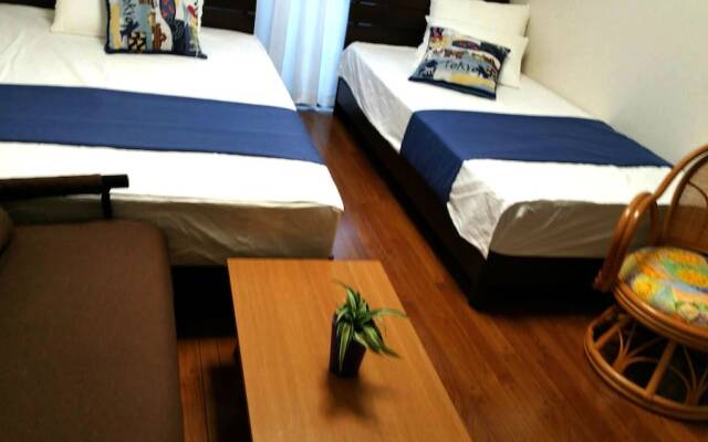 Shinjuku Shin Okubo house