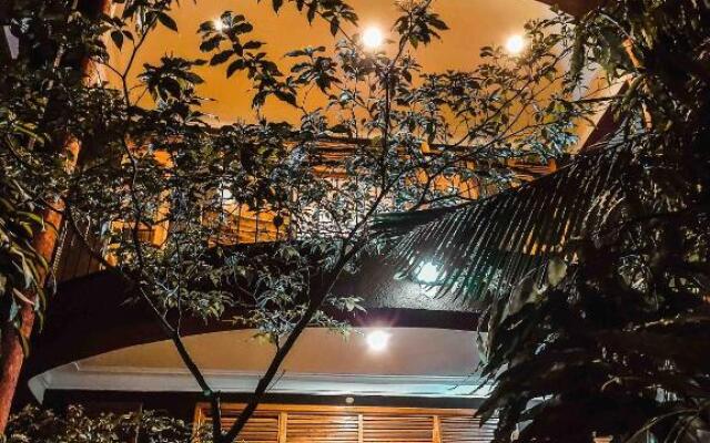 Oasis in the City