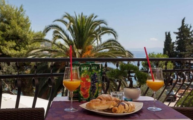 Exquisite Apartment With Balcony and Sea View