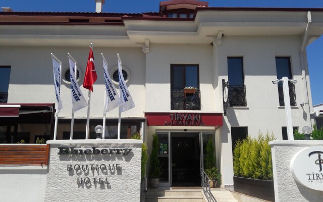 Blueberry Boutique Hotel