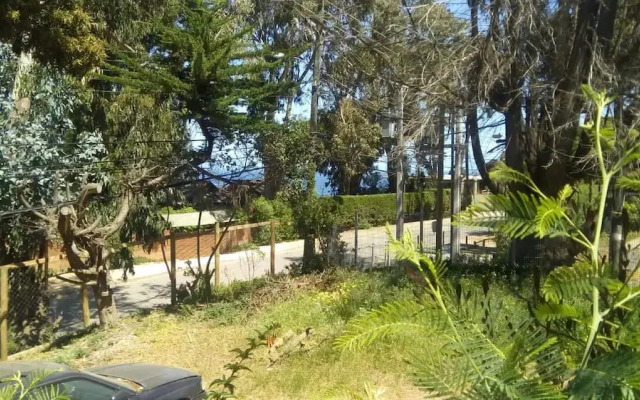 440 Cachagua