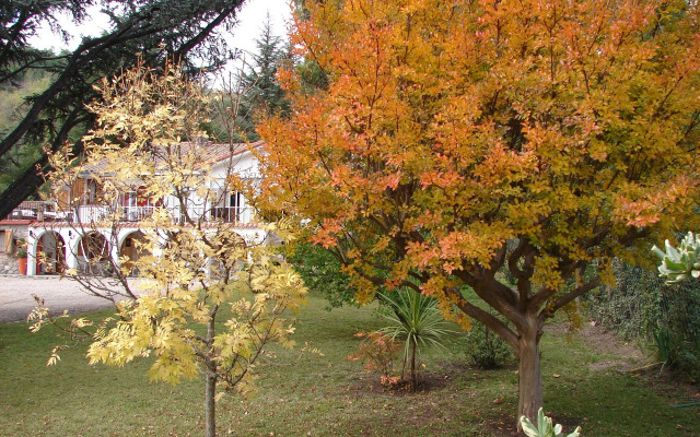 Summit Posada Boutique