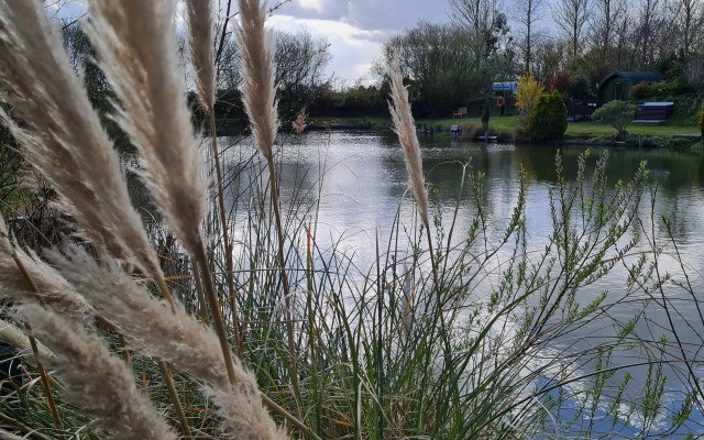 Willerby Manor