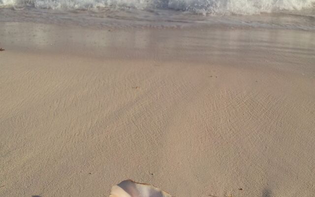 The Ocean Dream Beach Resort