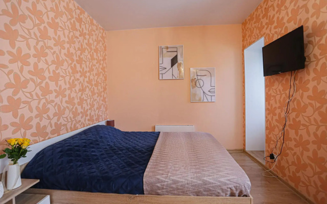 Apartments at Petrovna's on Moskovskoe highway