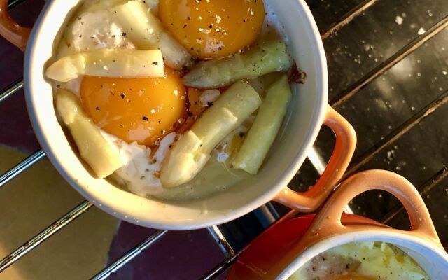 Maison et table d'hôtes le Camélia Blanc