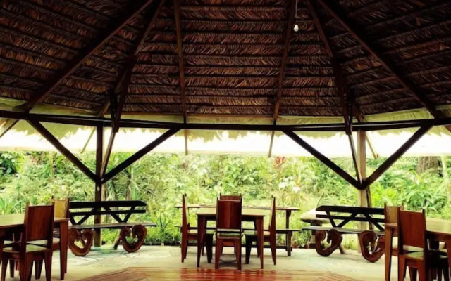 La Rana De Cahuita