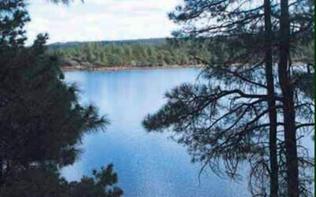 Pinetop Forty Niner 2 Bedroom Cabin