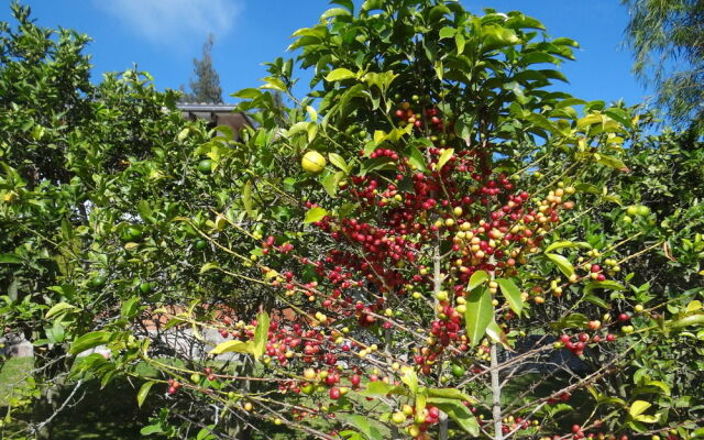 Quinta Carlota