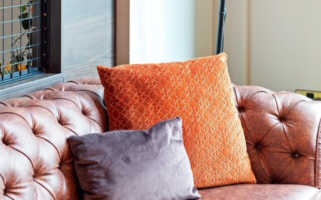 Comfortable & Convenient Studio